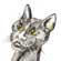 Katze